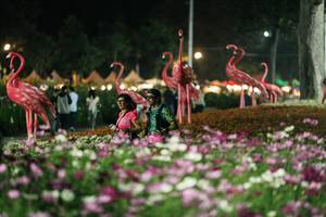 BIB: 
                            <button type="button" onclick="openModal(27337355)" class="btn btn-primary btn-sm float-right btn-popup" data-toggle="modal" data-target=".modal-high-quality">
                        <i class="fas fa-shopping-cart"></i> Add to Cart
                    </button>
                                            <button type="button" onclick="isThisMe(27337355, true)" class="btn btn-success btn-sm float-right btn-popup btn-isme hidden" data-toggle="tooltip" data-placement="bottom" title="นี่คือรูปของคุณใช่ไหม คลิกที่นี่เพื่อเอาเข้าอัลบั้ม">
                        <i class="fas fa-plus"></i> Add to album
                    </button>
                    <button type="button" onclick="isThisMe(27337355, false)" class="btn btn-warning btn-sm float-right btn-popup btn-isnotme hidden">
                        <i class="fas fa-ban"></i> Remove from album
                    </button>